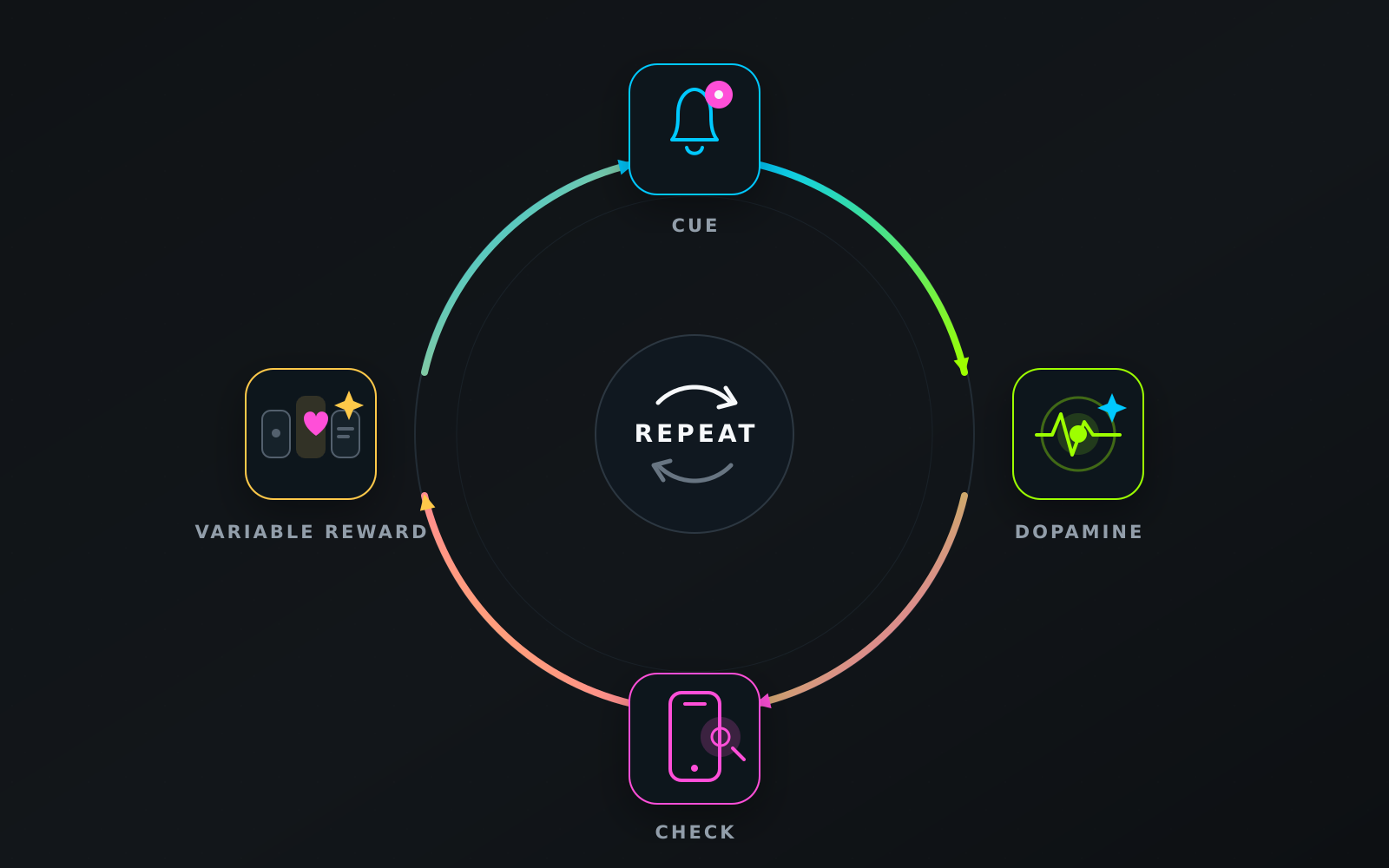 Diagram showing the anticipation and reward loop through a cue, dopamine response, checking behavior, a variable reward, and repetition